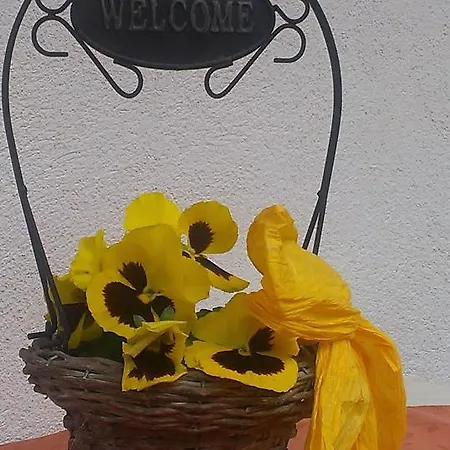 Ofer Thomas & Michaela Apartment Neustift im Stubaital